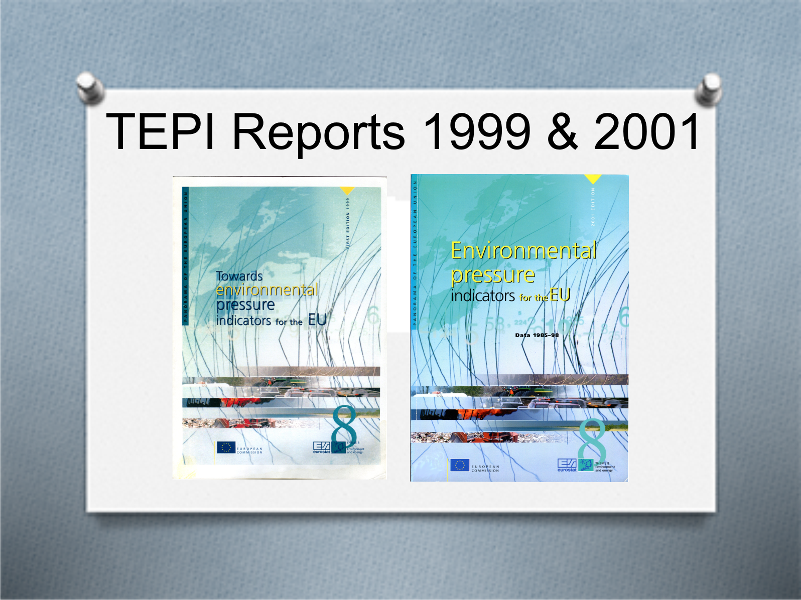 Rapporten Towards Environmental Pressure Indices for the EU